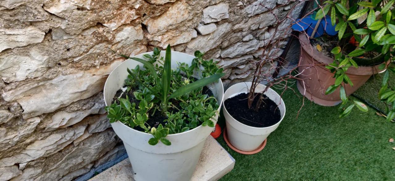 Milin By The Sea-zadar-diklo Apartman *