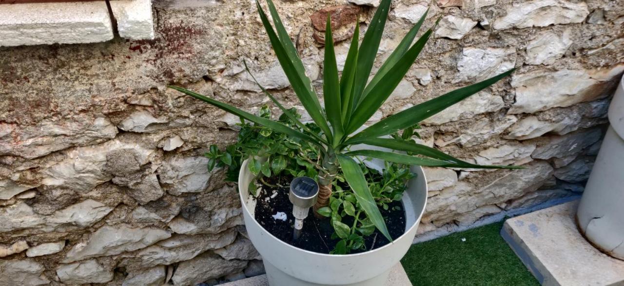 Milin By The Sea-zadar-diklo Apartmán