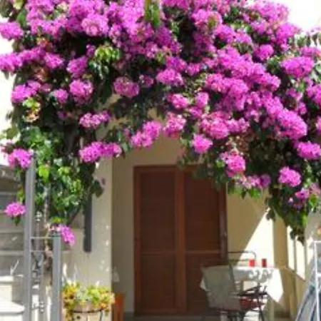 Apartment Milin By The Sea-Zadar-Diklo Exterior foto